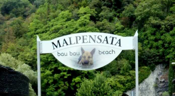 “Bau bau beach”, a Olivedo di Varenna è nata la spiaggia per cani