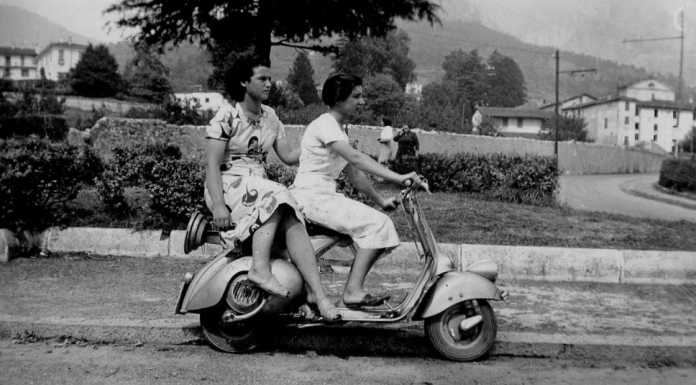 Lettera. “La vera storia del cedro di via Tonale”