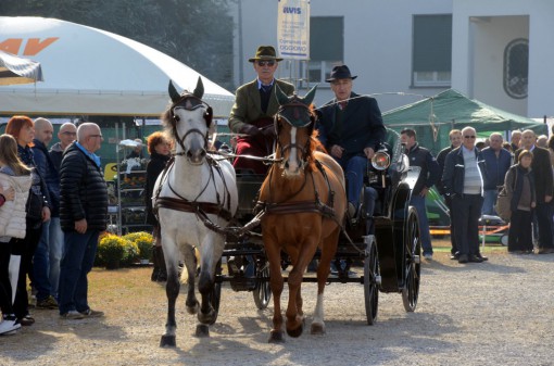 Fierone oggiono 2015 (5)