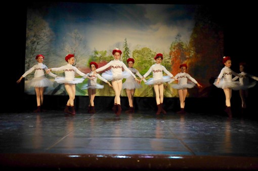 ballet_school (5)