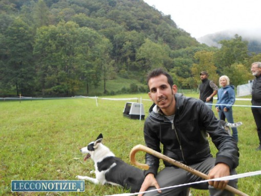 Matteo Carboni con il suo Papo, campione nella disciplina del sheep dog