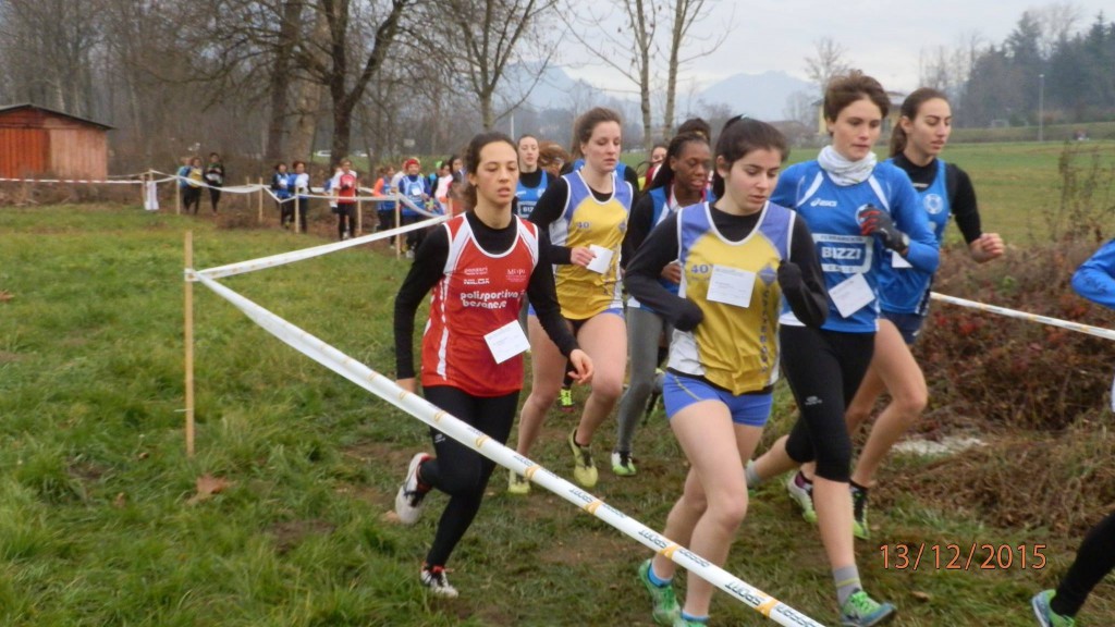 12339076_983303381736184_3429802288174973426_o