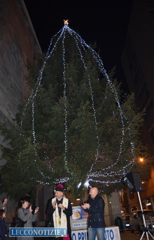 albero_cancro_primo_aiuto (1)