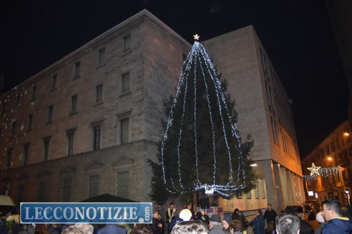 albero_cancro_primo_aiuto (2)