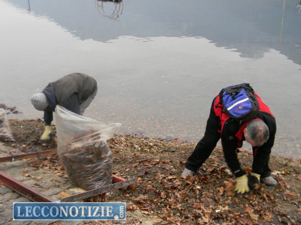 Valsecchi ai cittadini: “Ripuliamo insieme le sponde del lago”