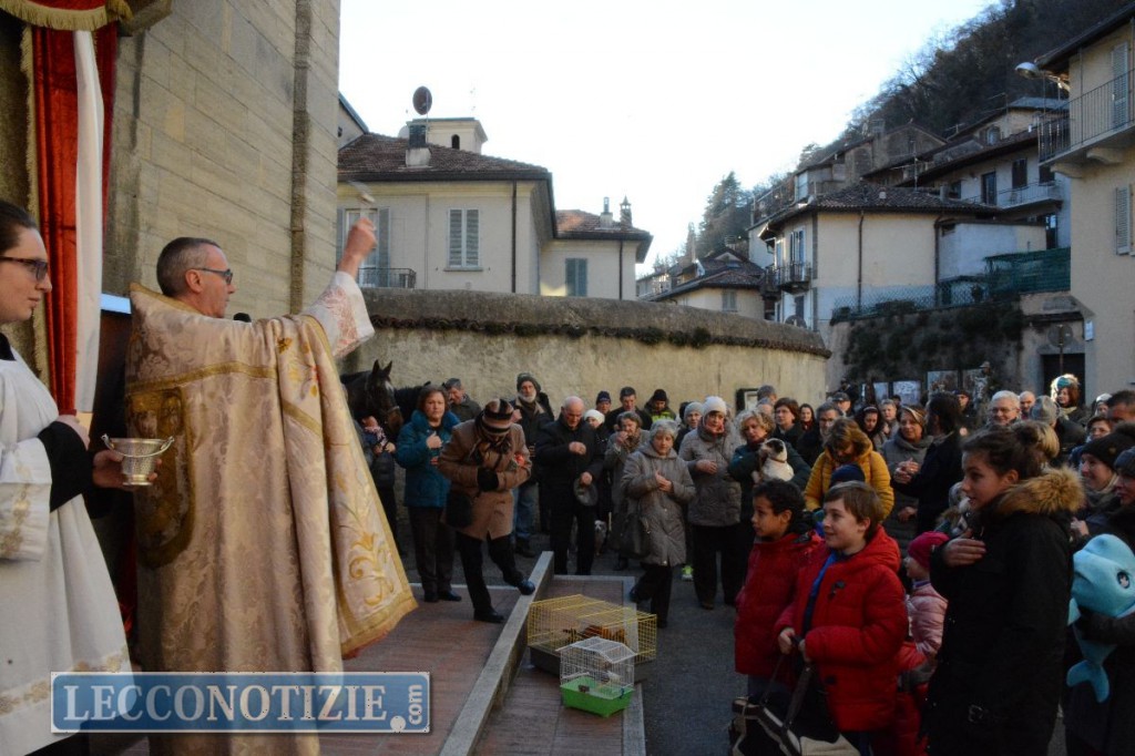 Malavedo festeggia S. Antonio Abate: benedetti gli animali