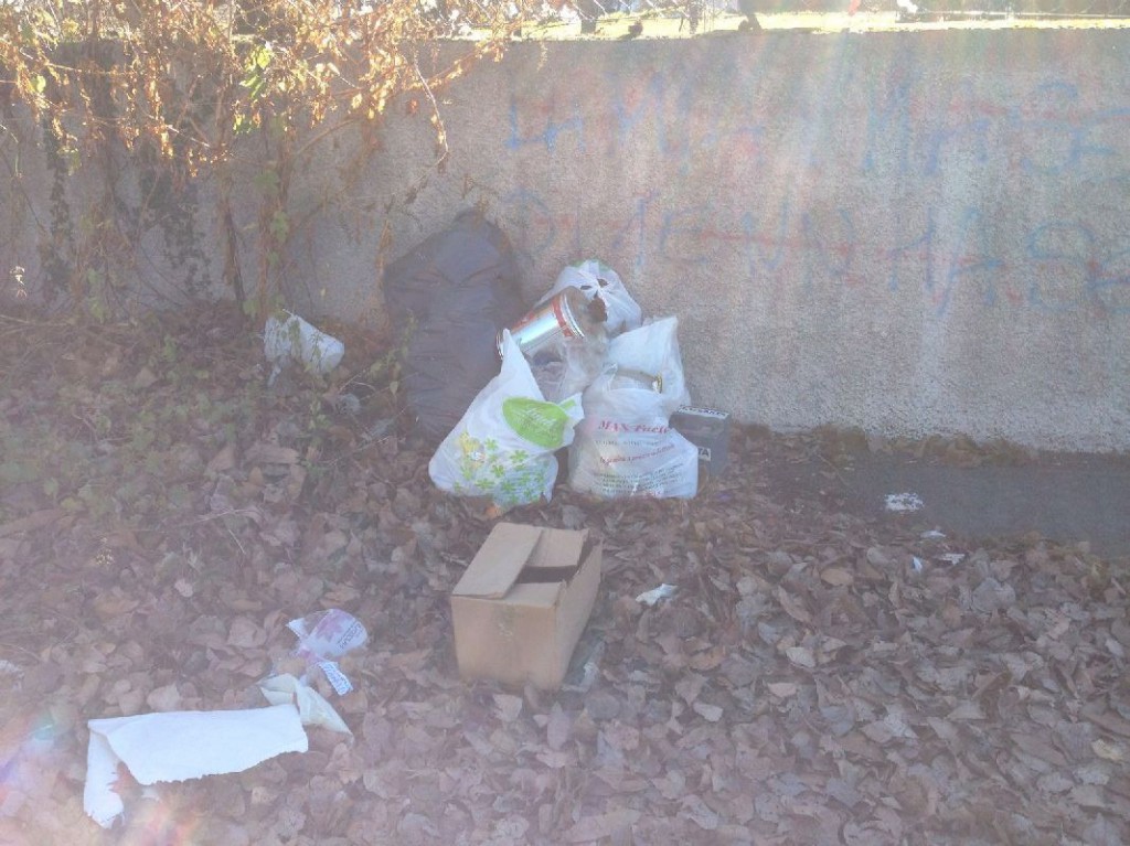 Rifiuti abbandonati, angolo di degrado a Maggianico