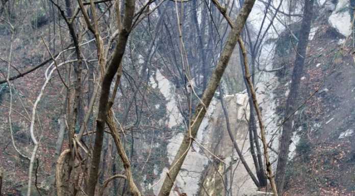 Protezione Civile e Croce Verde insieme per pulire il Valvarea