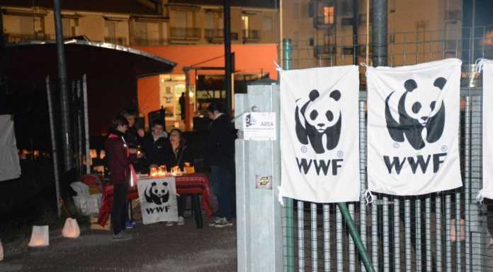 “L’ora della Terra”, tutte le iniziative del WWF per sabato 25