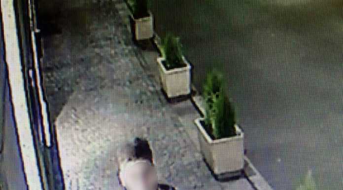 Ruba un pinetto in via Cattaneo, ripreso dalla telecamera