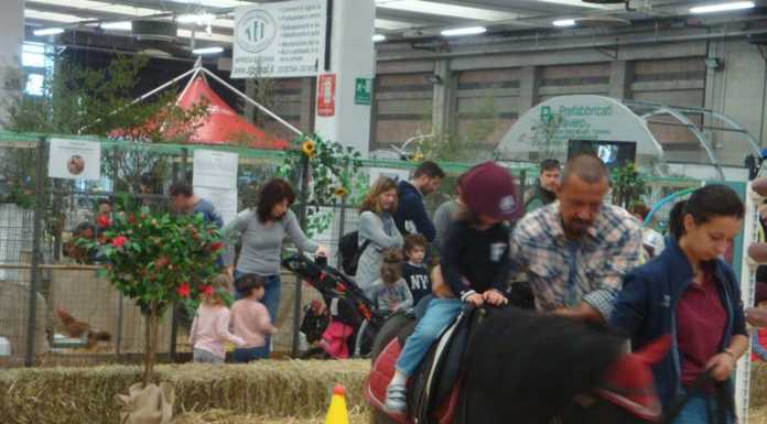 Successo per Agrinatura a Lariofiore: oltre 30 mila visitatori