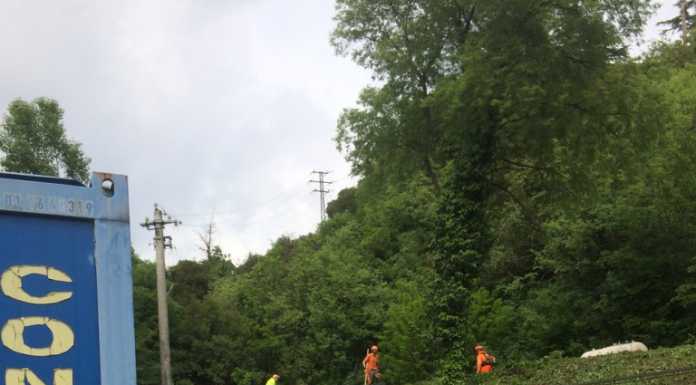 Protezione Civile al lavoro, taglio del verde alla sede galbiatese