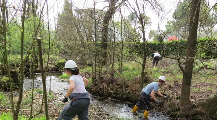 Bulciago: volontari al lavoro per ripulire il torrente Bevera