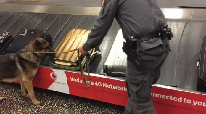 Conclusa l’operazione “Parenti Serpenti”: 4 arresti, 16 indagati