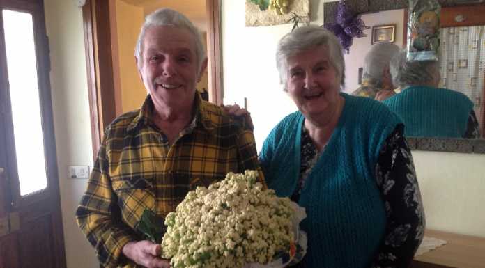 Laorca: un maxi cavolfiore di 3,5 kg nell’orto di Invernizzi