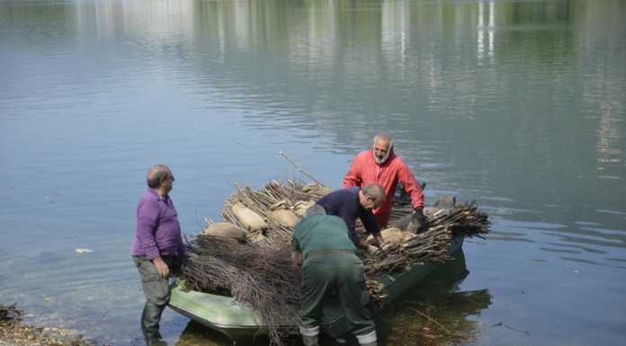 Olginate: posizionate le legnaie per le uova del pesce persico
