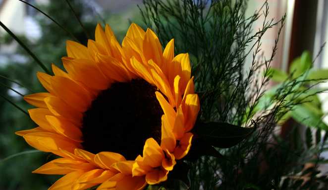 Galbiate, a lezione per imparare a ridurre ansia e stress