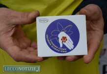 Civate, ennesimo gatto investito: Pro Parco chiede interventi urgenti