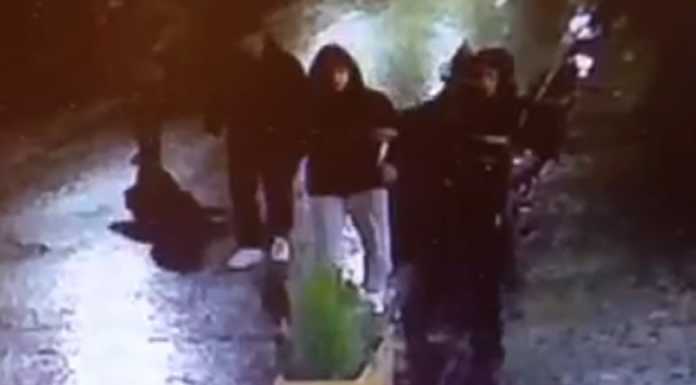 Via Cattaneo: ancora i pinetti nel mirino dei vandali (VIDEO)