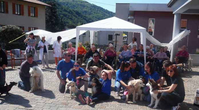 Olginate: sfilano i quattro zampe per i nonni della RSA