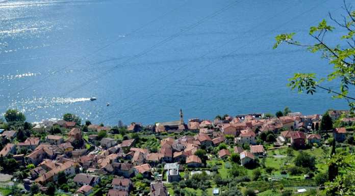 Il 2 giugno la “Olciocammina” tra vicoli e oliveti