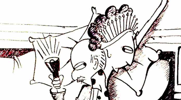 Vignetta. Area vasta: Lecco di nuovo con Como, un lieto ritorno?