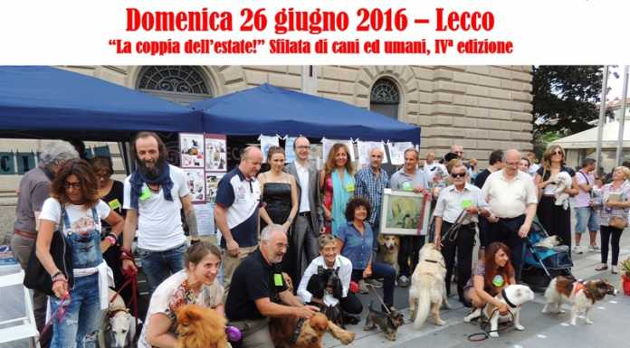 Sfilata a quattro zampe: Freccia 45 premia “la coppia dell’estate”