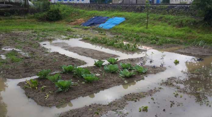 Maltempo e allagamenti, agricoltori di Lecco e Como in difficoltà