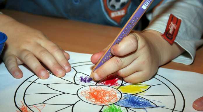 Olginate: escrementi di topo all’asilo nido. Chiuso per sanificazione