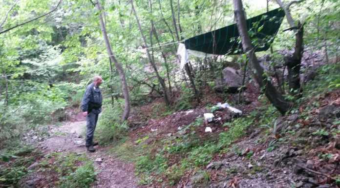 Danno la “caccia” ai bracconieri e trovano il covo degli spacciatori