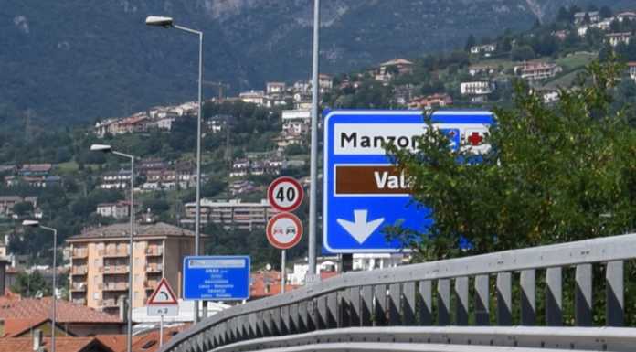 Cartelli stradali nascosti dalla vegetazione, la segnalazione di un lettore