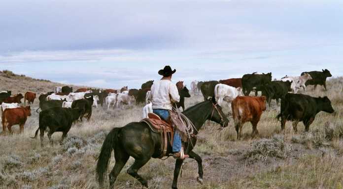 Il leggendario West sbarca al Centro polifunzionale di Imbersago