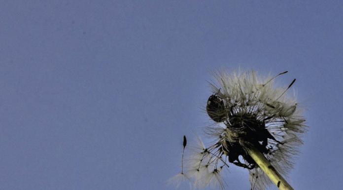 Brivio, “Spazi e silenzi” immortalati dal Fotoclub di Airuno