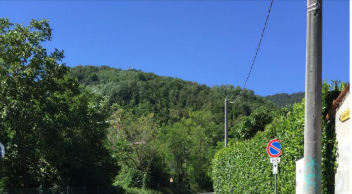 Cura del verde lungo le strade, la Provincia: “Non ci sono risorse”