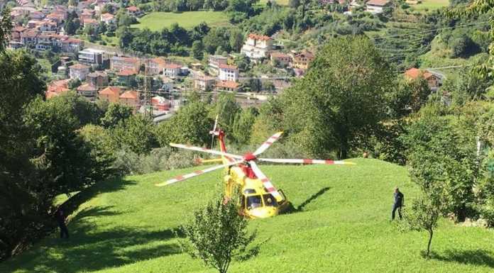 Falghera. Punto da un insetto, è gravissimo in ospedale