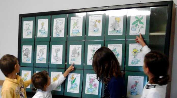 Rimedi floreali della Grigna, in settembre un corso a Esino Lario