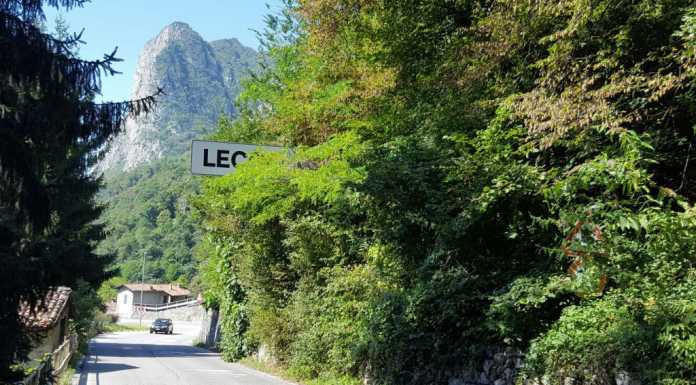 Verde pubblico “fuori misura” sulle strade: diamoci un taglio