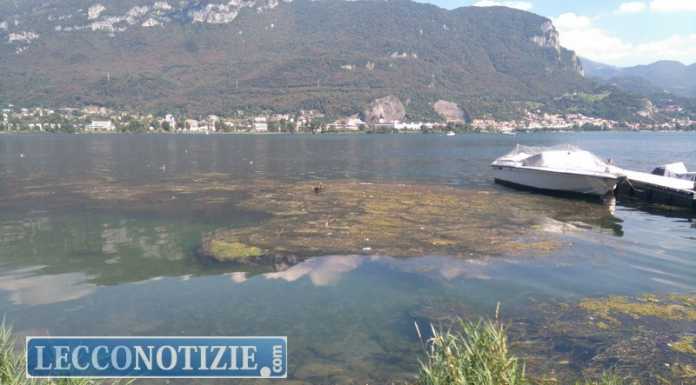 Alghe nel lago, ‘bocciato’ il battello spazzino: “E’ inefficiente”