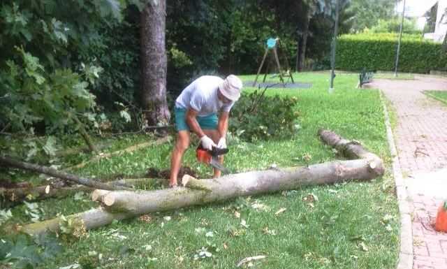 Ballabio, conclusi i lavori di messa in sicurezza delle piante all’asilo