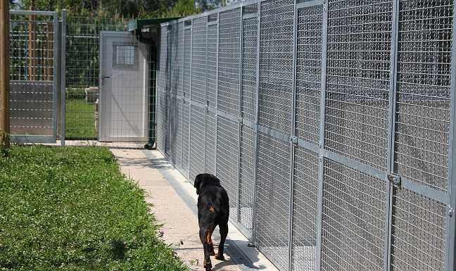 Il Canile di Erba passa sotto la gestione diretta del Comune