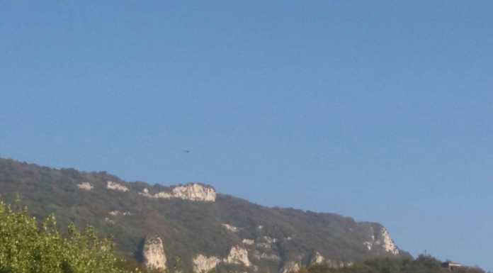 Incendio sul monte Magnodeno, domato dalla Forestale