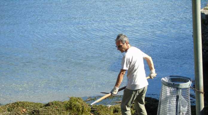 Garlate, un tratto di ciclabile chiusa per le alghe: “Vanno rimosse”