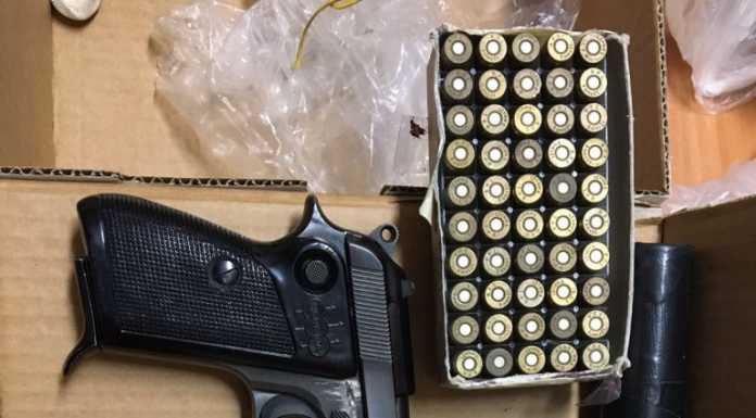 Controllo della finanza in azienda, spuntano due pistole: sequestrate