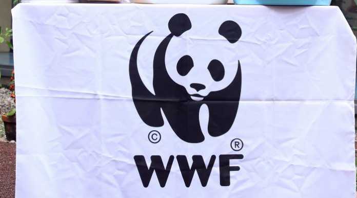 Il WWF di Lecco impegnato nella tutela della microfauna locale