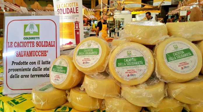 Amatriciana ma anche la Caciotta della Solidarietà, domenica