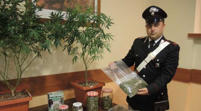 Coltiva marijuana “sotto” il campanile di Lecco, arrestato 23enne