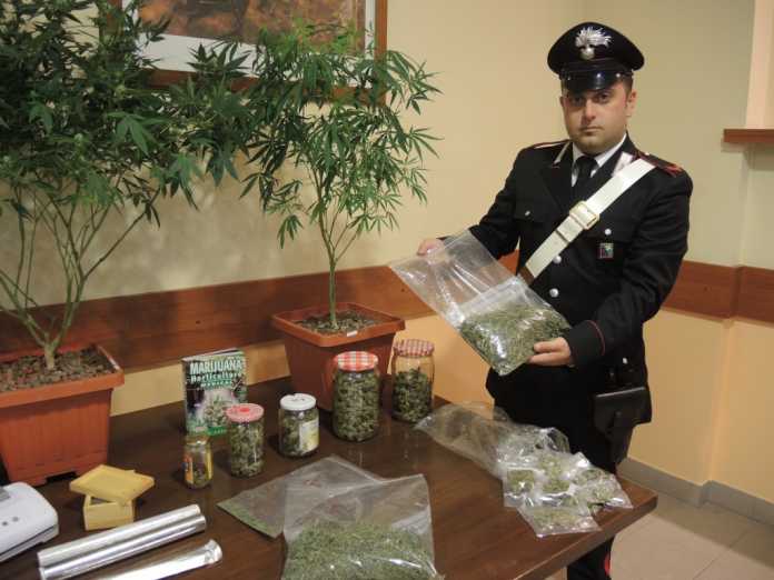coltivazione-marijuana-arresto-carabinieri-73