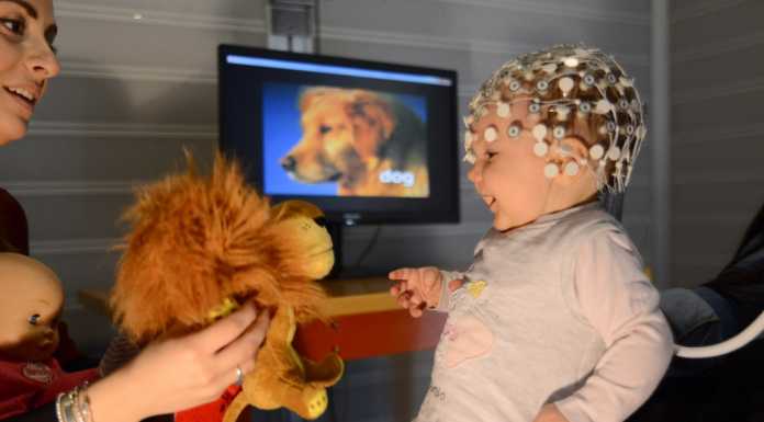 La Nostra Famiglia: oltre 35 mila bambini assistiti in tutta Italia