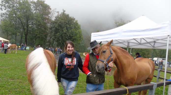 Torna la Mostra Agricola della Valle S. Martino: “Una manifestazione attesa”