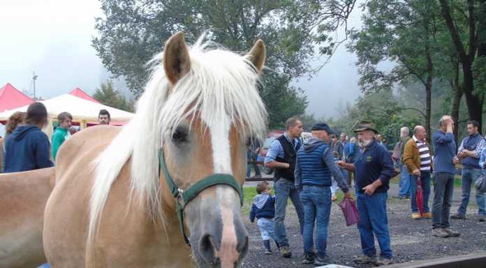 Carenno, il 1° ottobre torna la Mostra Agricola della Valle S. Martino